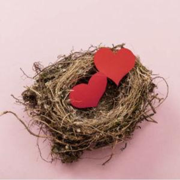 The Love Nest Fund