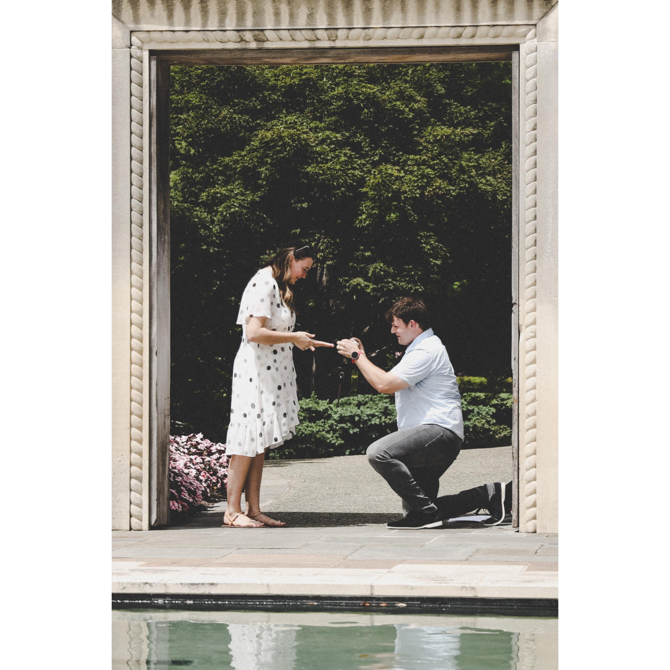 James proposed at the Dallas Arboretum on June 27th!