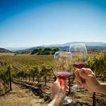 Grapeline Wine Tours