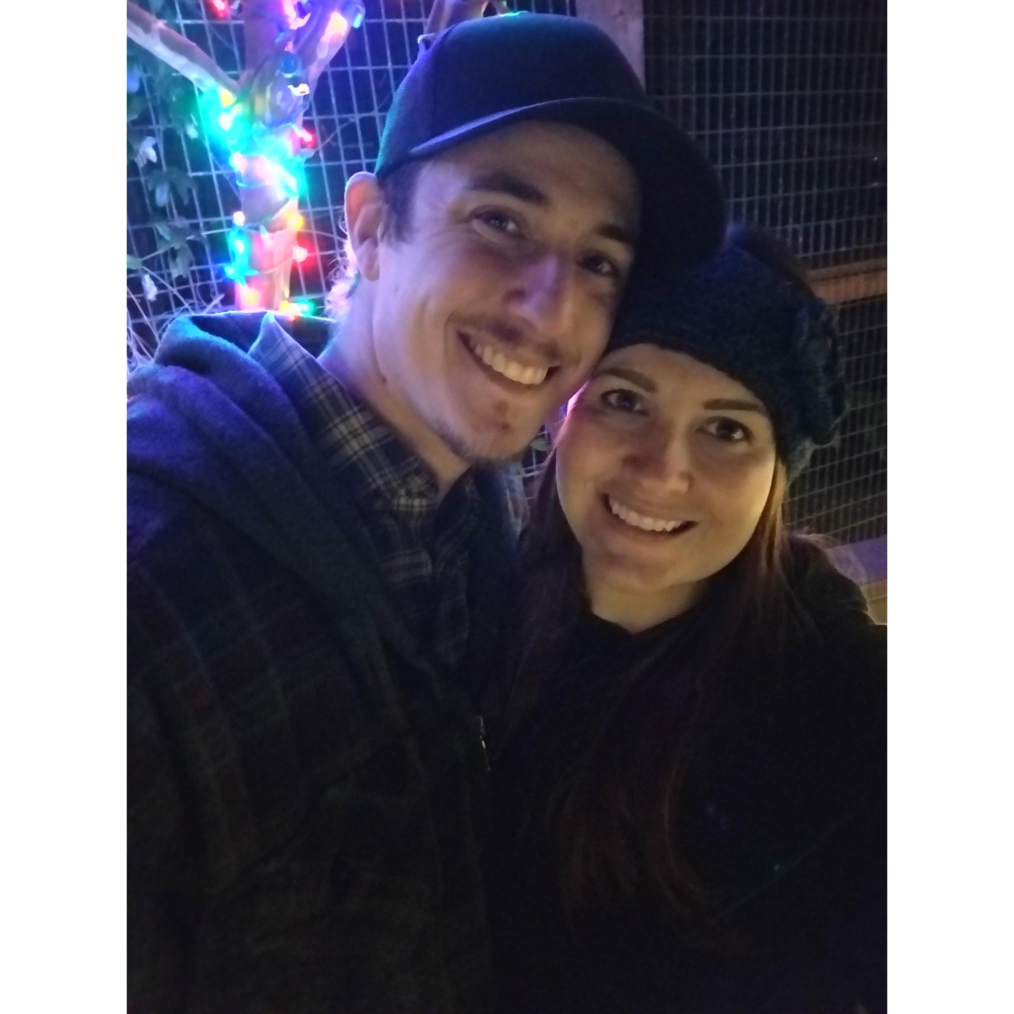 Our Christmas tradition at the Folsom Zoo 2018