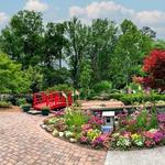 New Hanover County Arboretum | N.C. Cooperative Extension