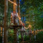 Timbertrek/MoonTrek