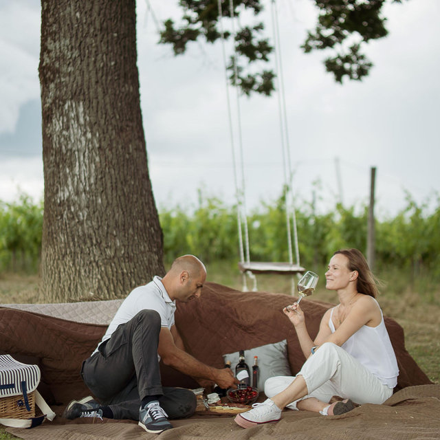 Private Picnic with Tour of Vineyards and Cellar