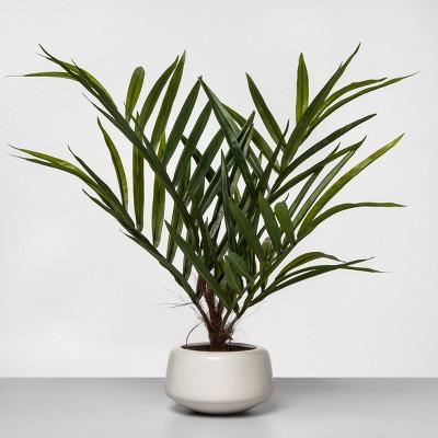 27" x 16" Artificial Potted Palm Green/White - Project 62™