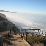 Torrey Pines State Natural Reserve