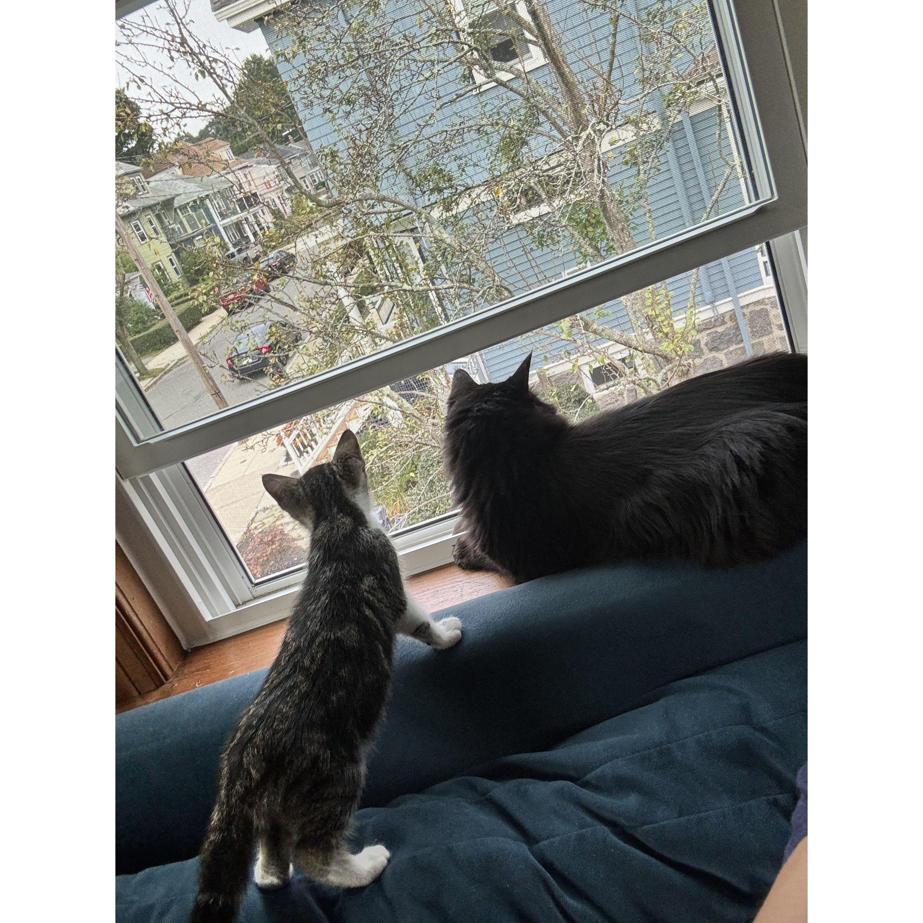 One of the first moments they started to bond.