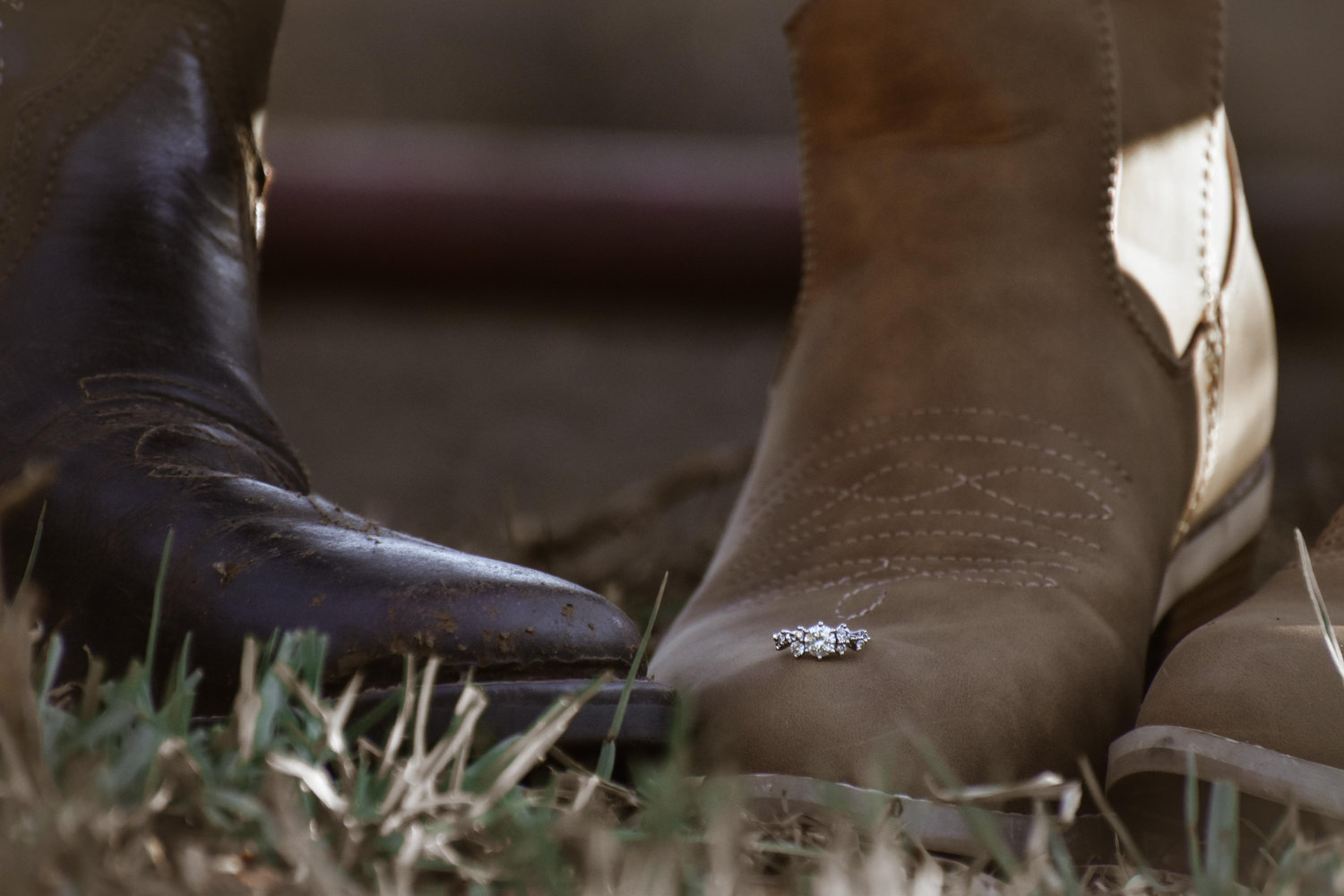 The Wedding Website of Marizandi Botha and Franco Prinsloo