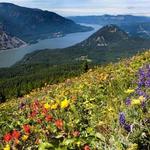 Dog Mountain Trailhead