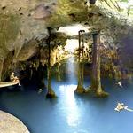 Xenotes