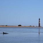 Morris Island Lighthouse