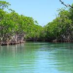 Gilligans Island (R2H)