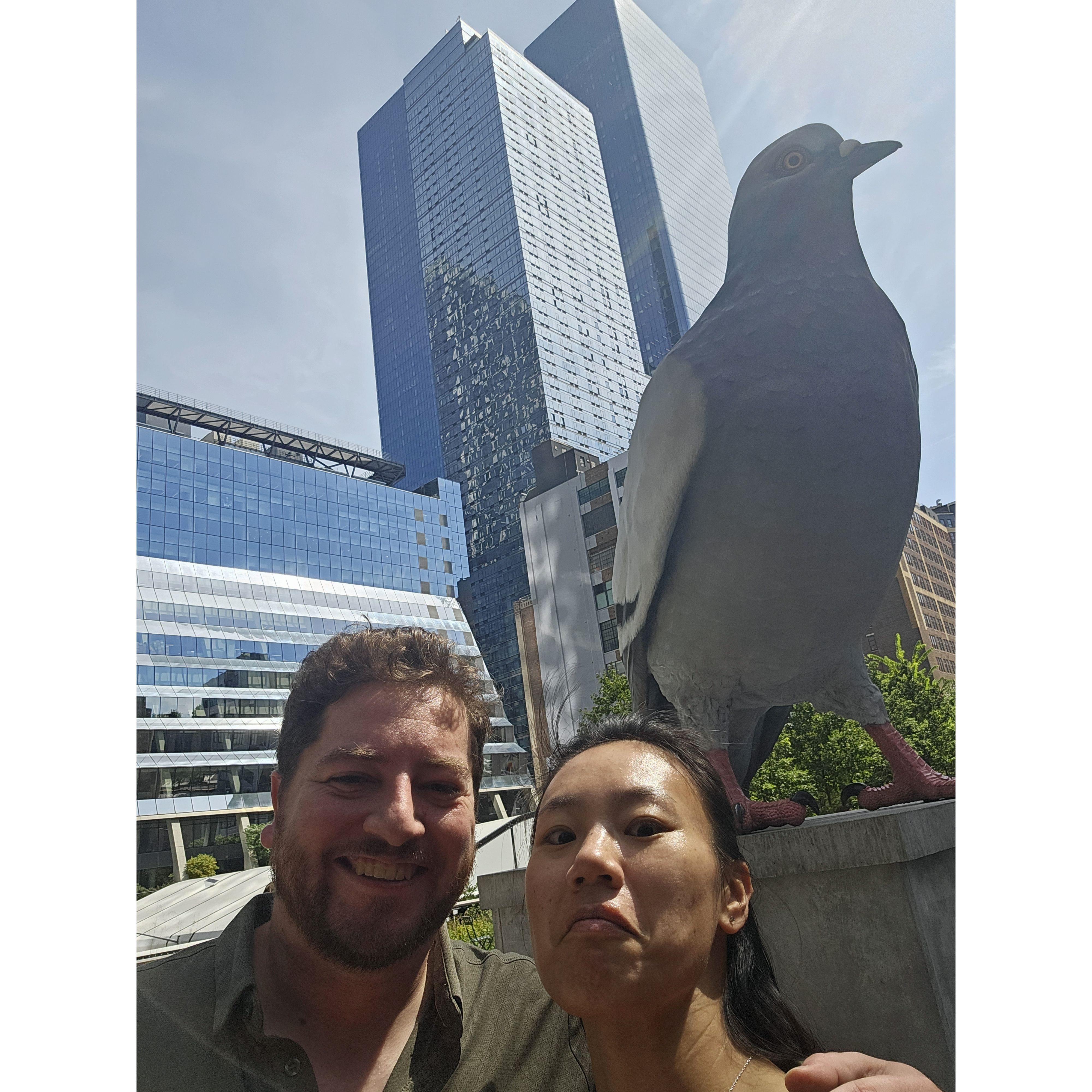 Hmmm, a pigeon you say, I haven't seen one (NYC 2025)