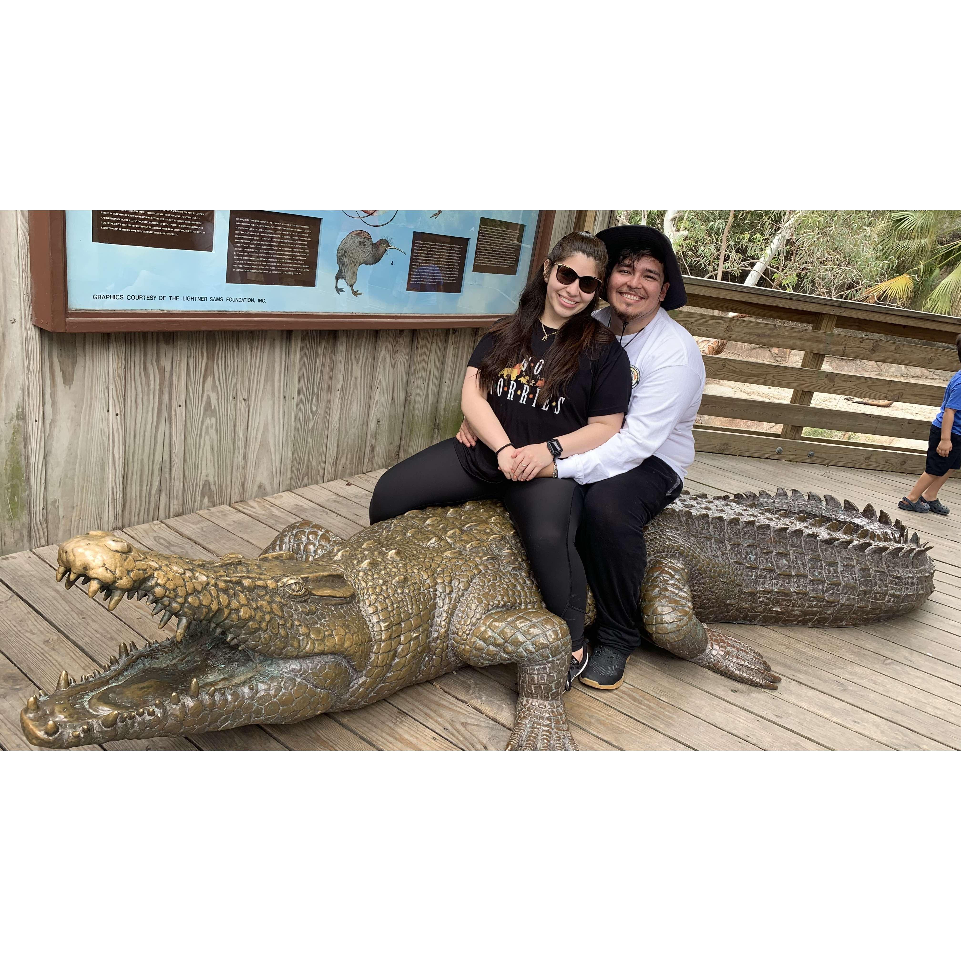 GLADY'S PORTER ZOO
FEBUARY 20, 2022