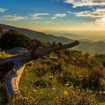 Hiking