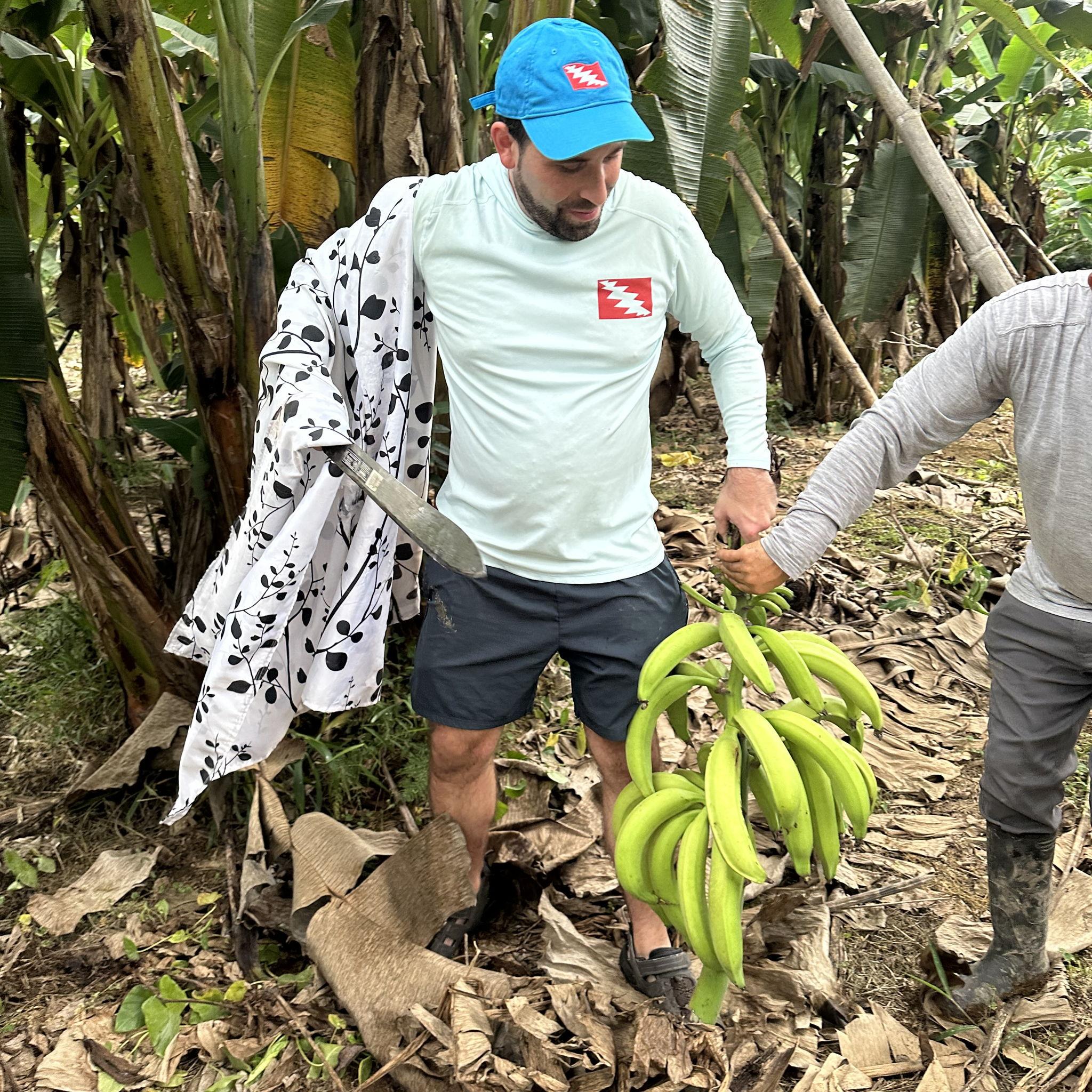 Mindo - Vanessa's parent's finca. Michael harvesting plantains, he is so proud! We used them to make Ecuadorian dishes like bolón, majado, and tigrillo.