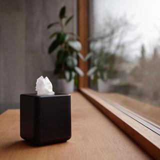 Ume Square Tissue Box