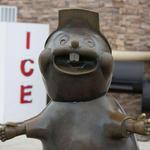 Buc-ee's