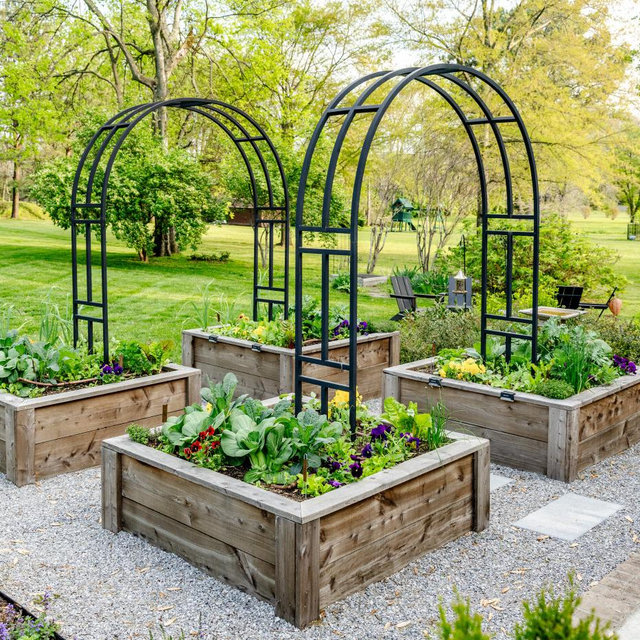 Backyard Garden