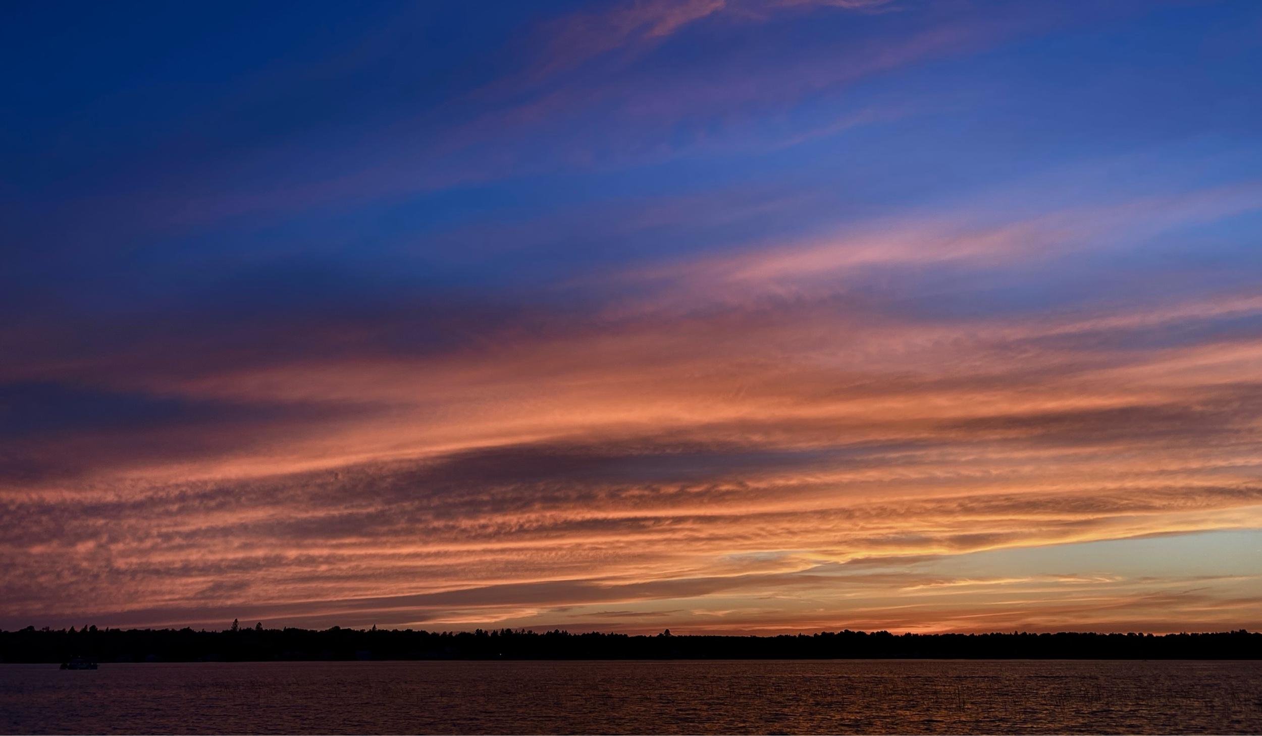 The Wedding Website of Elliot Handyside and David Eash