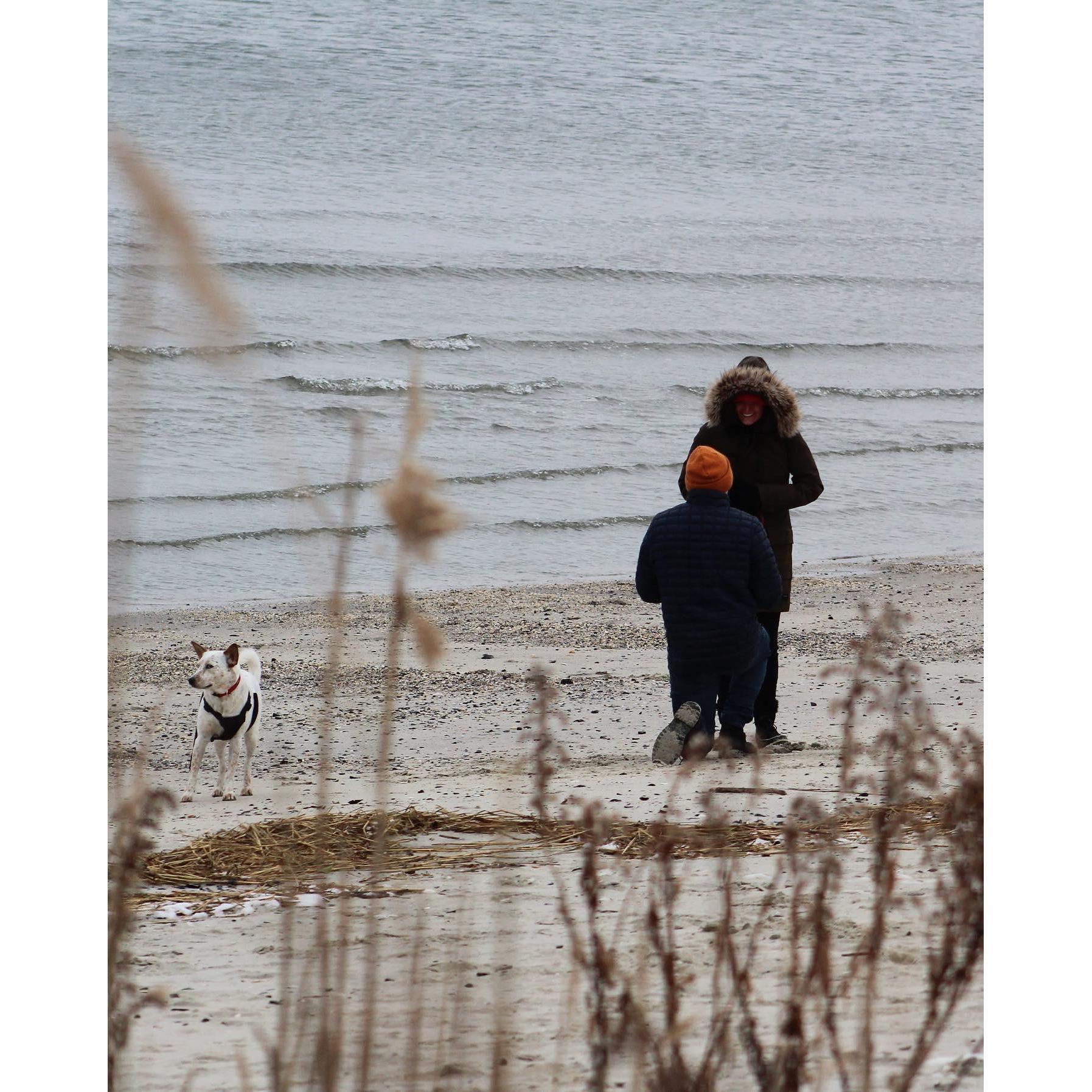 The Engagement, Manasquan, NJ