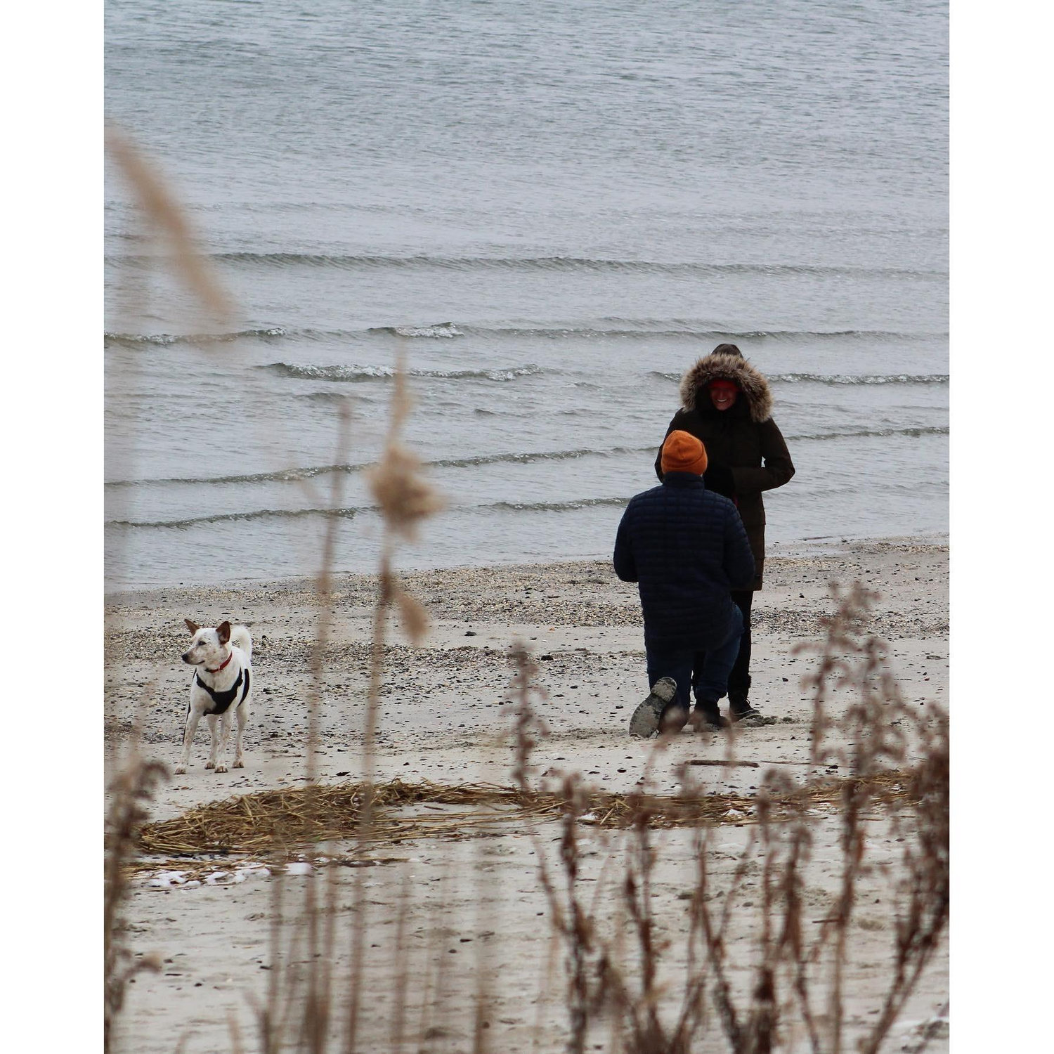 The Engagement, Manasquan, NJ