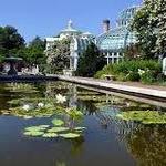 Brooklyn Botanic Garden