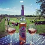 Iron Plow Vineyards