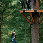Zipline at Skamania Lodge