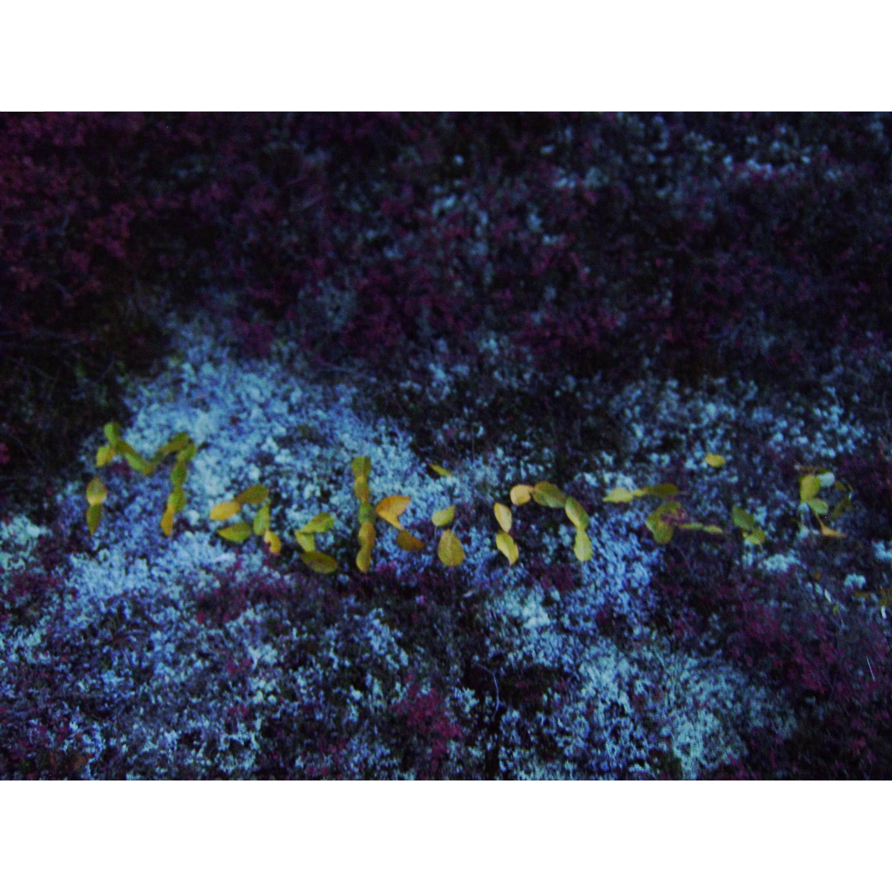 Mackinzie's name spelled in Alaska Tundra