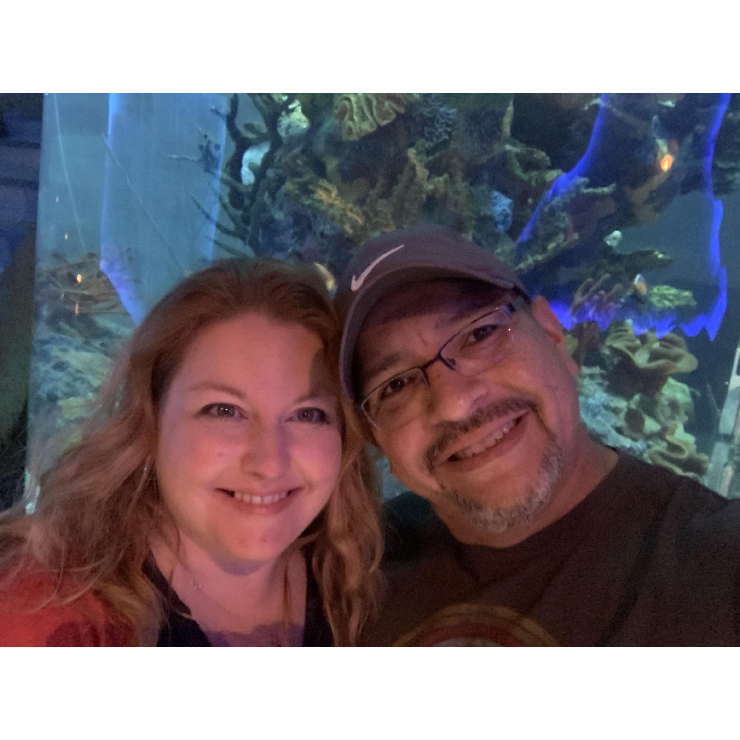 Dinner at the Aquarium on our 4th anniversary.