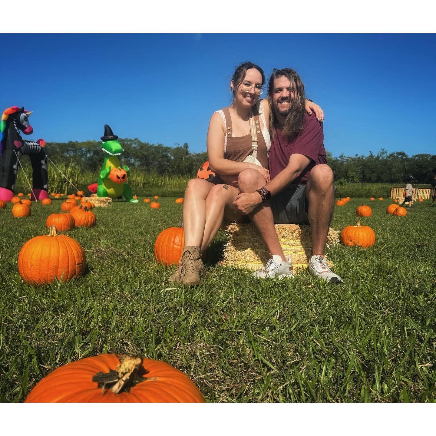 October 2024, Holoholoween