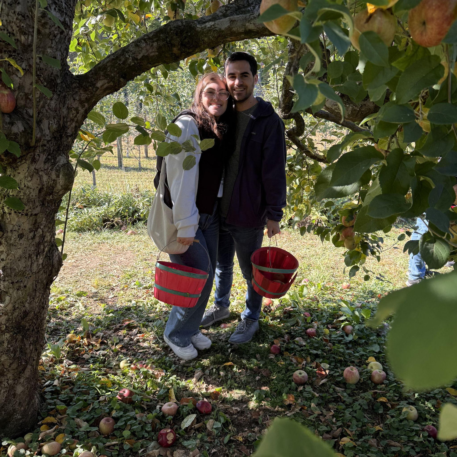 Apple Picking 2024