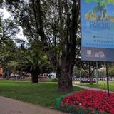 Parque de la 93