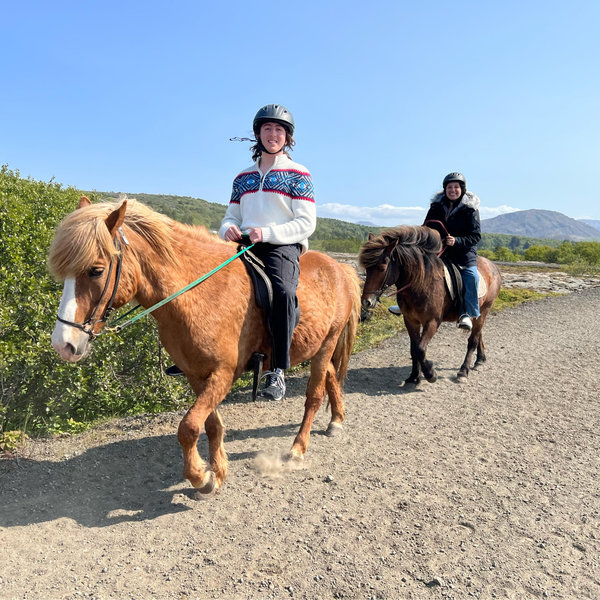 Horseback Riding On Our Honeymoon