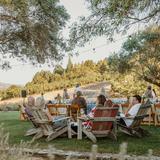 Bella Vineyards & Wine Caves