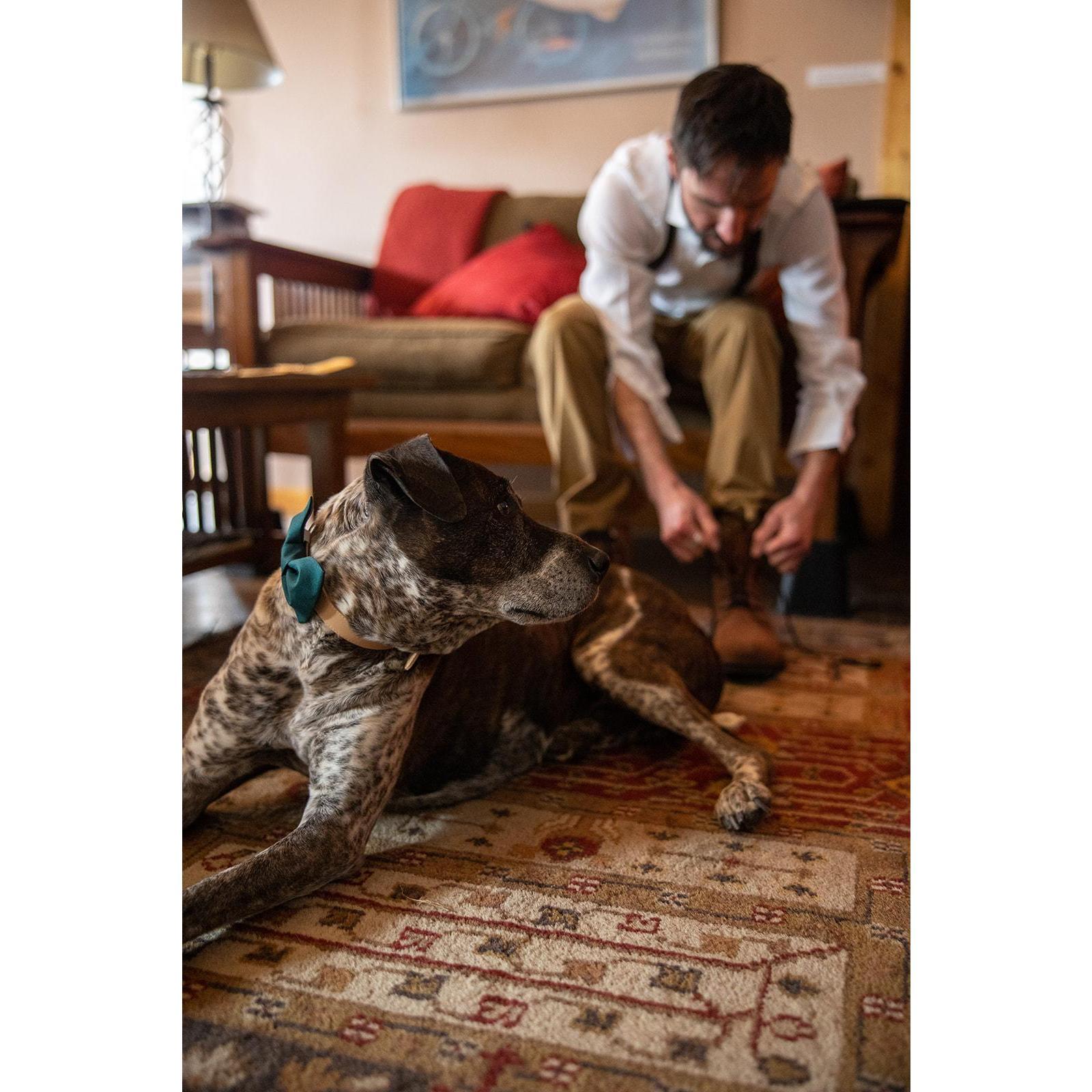 Gage ensuring that Hayes' shoes were properly tied