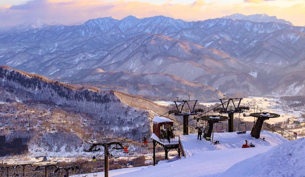 229fe5db-7bb7-4c7e-bdc6-dcc306df166a