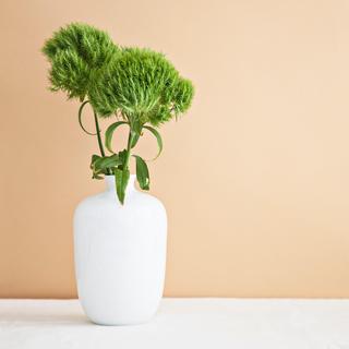 Small Plum Vase
