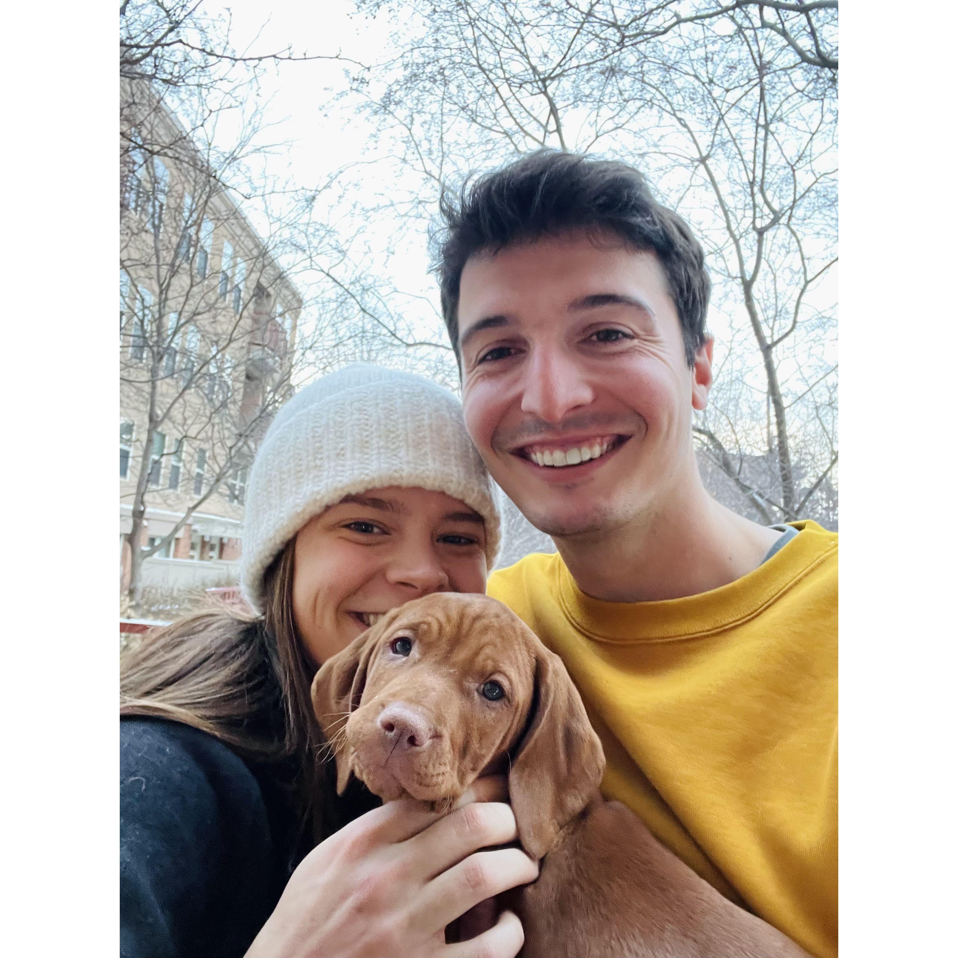The day we got Poppy!