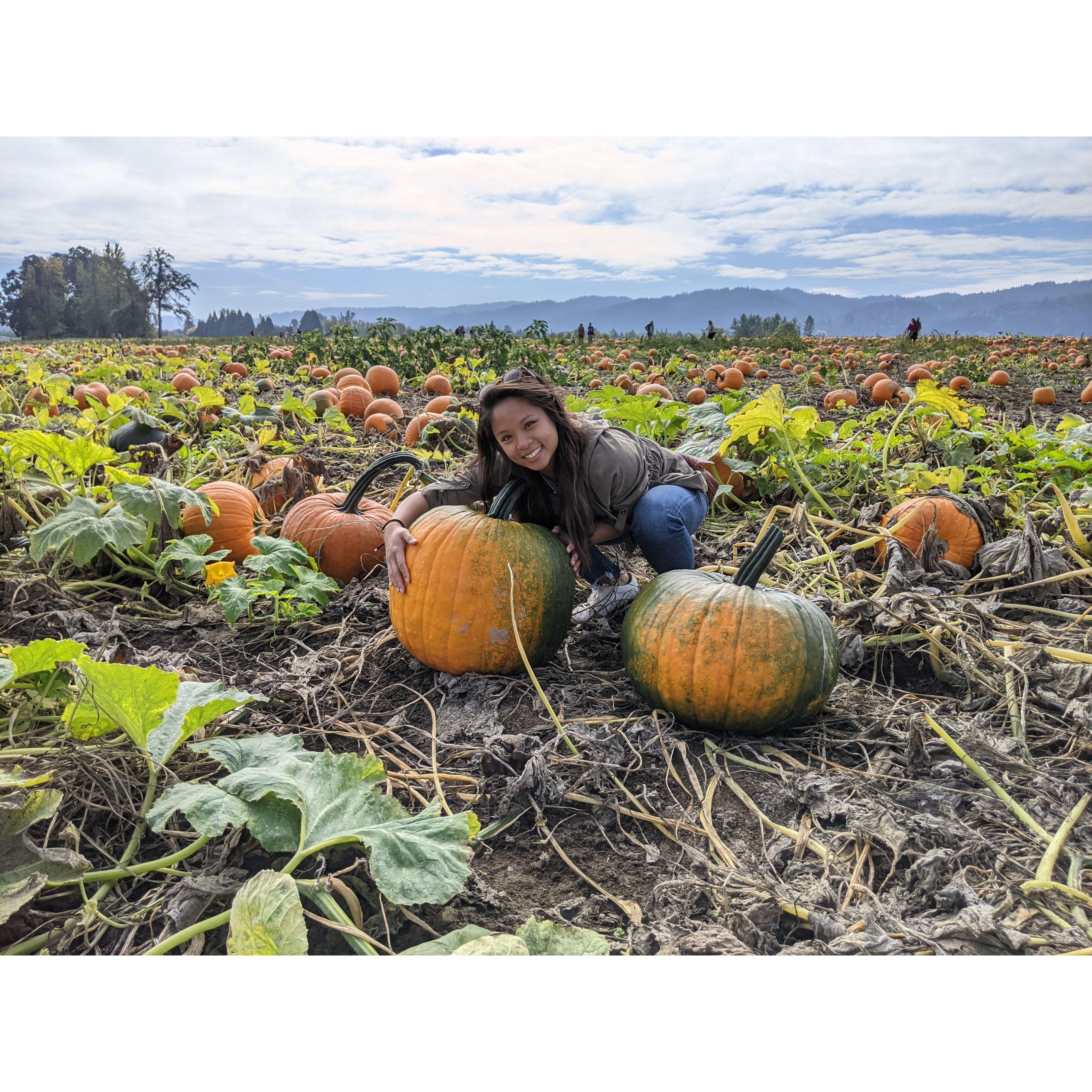 Picking our pumpkin from the Sauvie Island patch, Halloween 2021