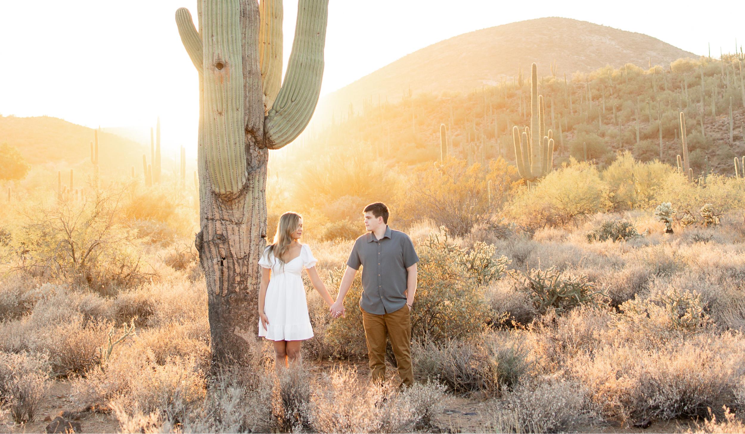 Hero Slideshow Image 1