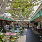 The Original Farmers Market and The Grove