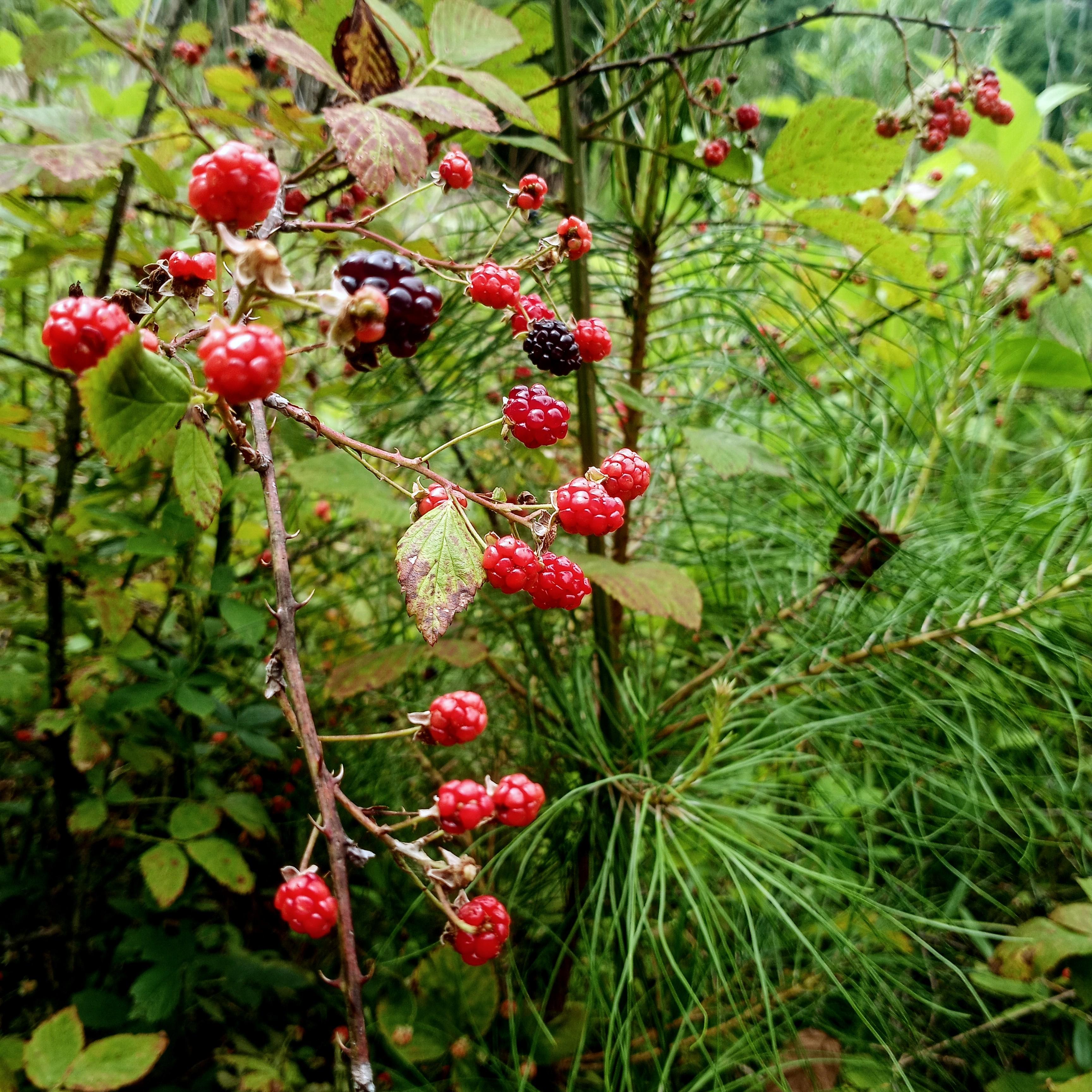 The view from Miguel's lens