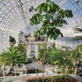 Myriad Botanical Gardens
