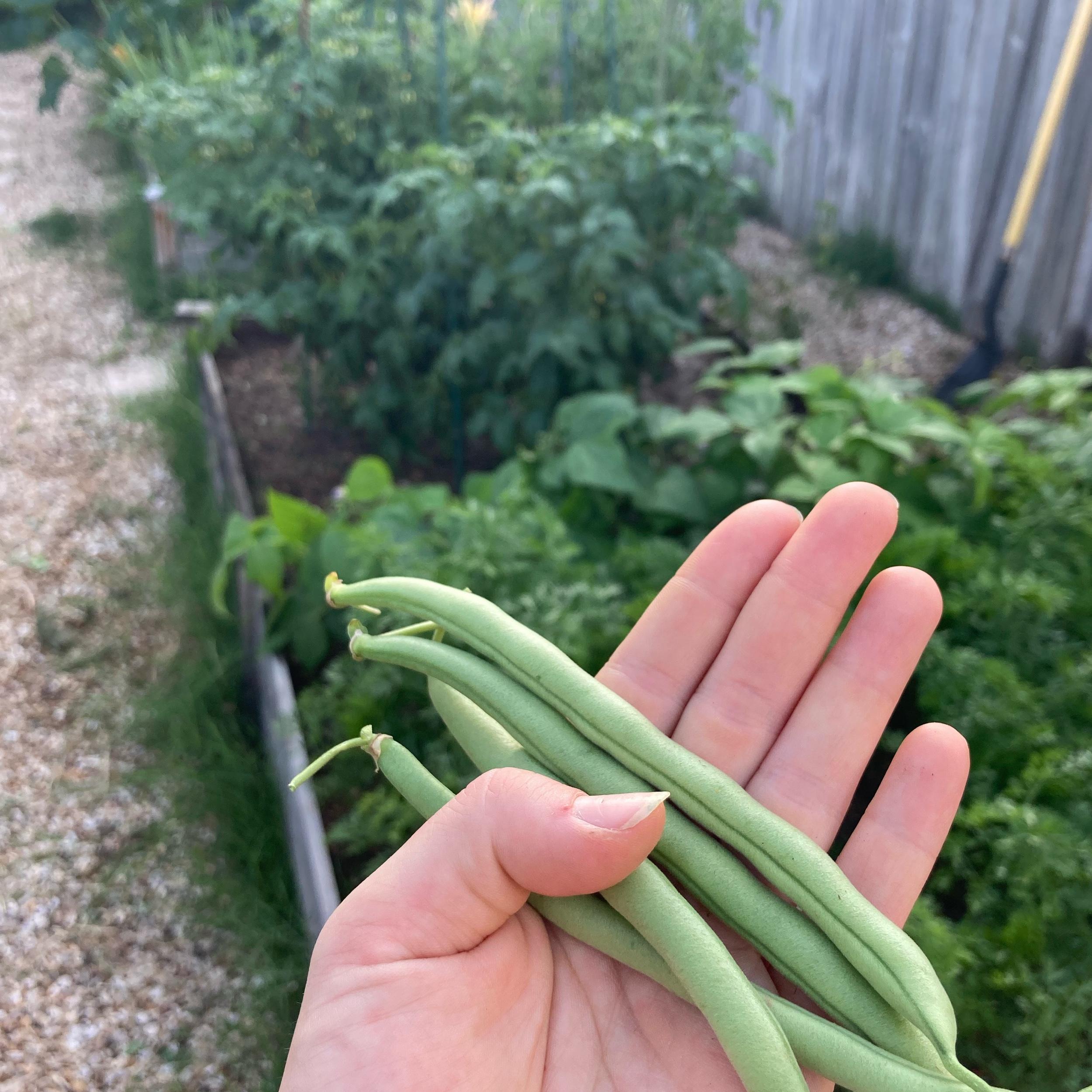 Garden supplies