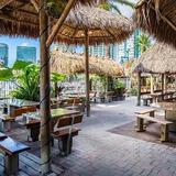 Monty's Coconut Grove