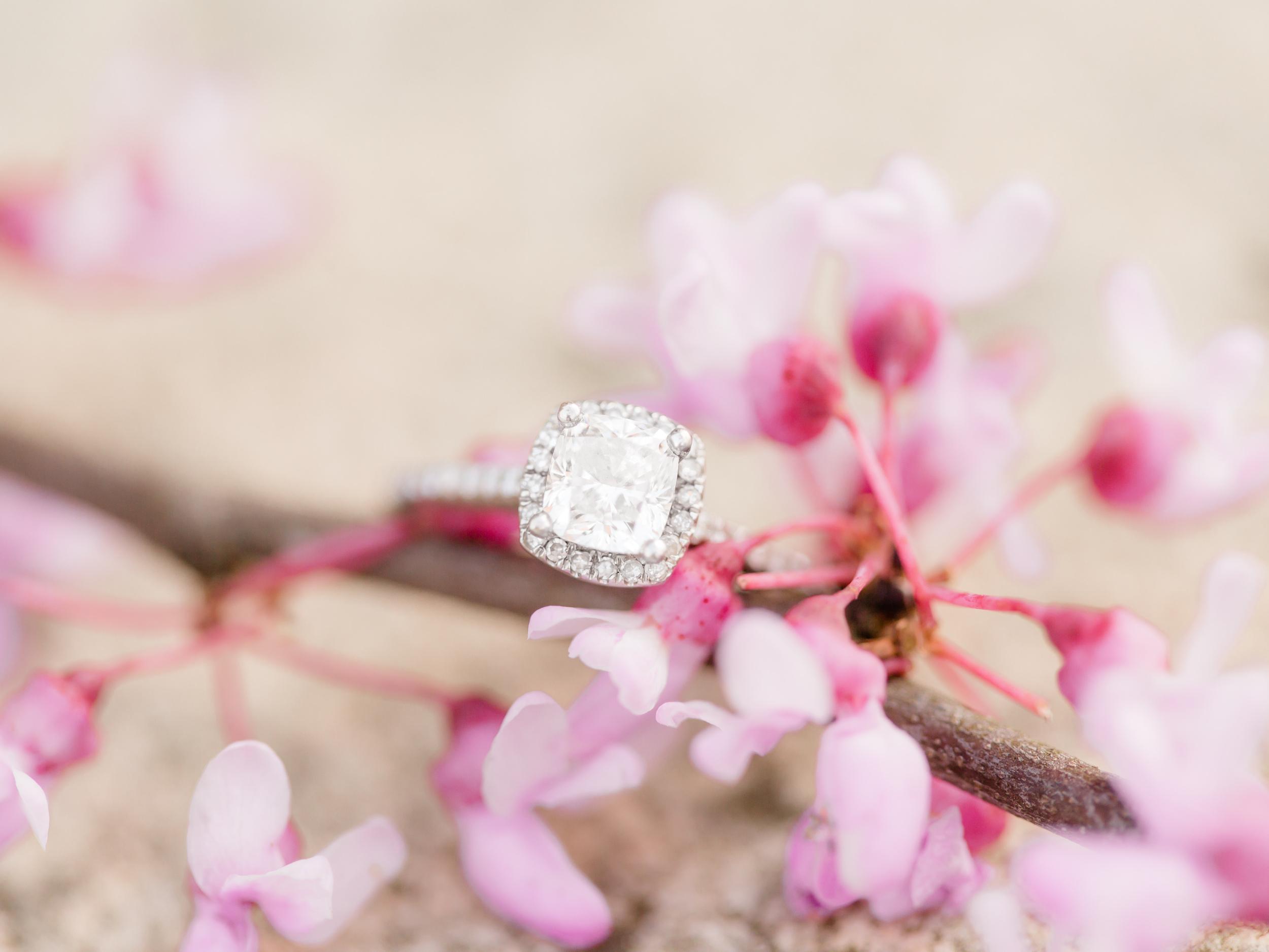 The Wedding Website of Michelle Grandy and Vincent Iacono
