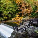 McConnells Mill State Park