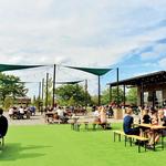 Sonder Brewing