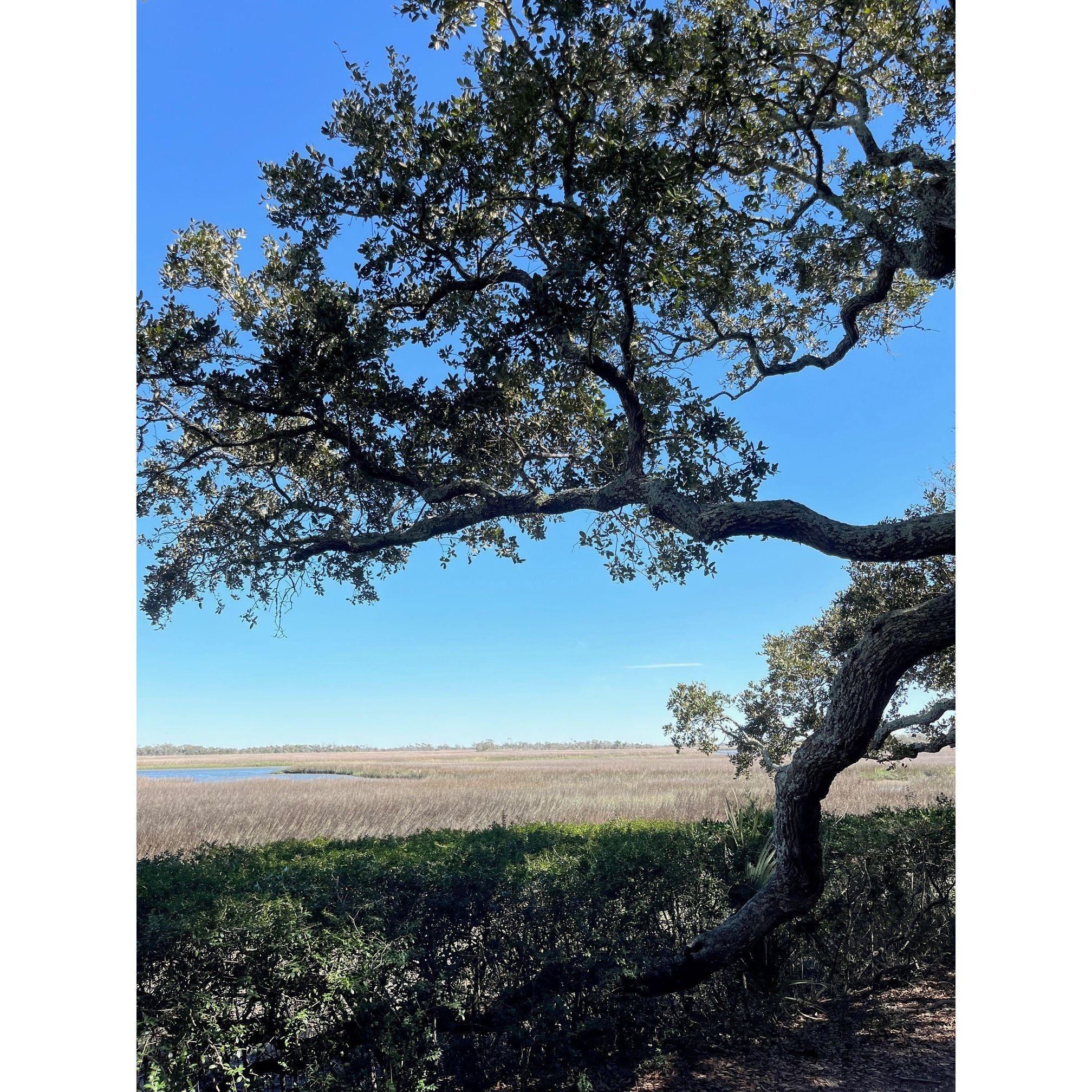 The exact spot we got engaged! Reagan was taking this picture while TJ was getting down on a knee.